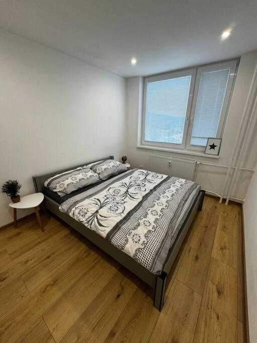 Apartman Amur كَشّا المظهر الخارجي الصورة
